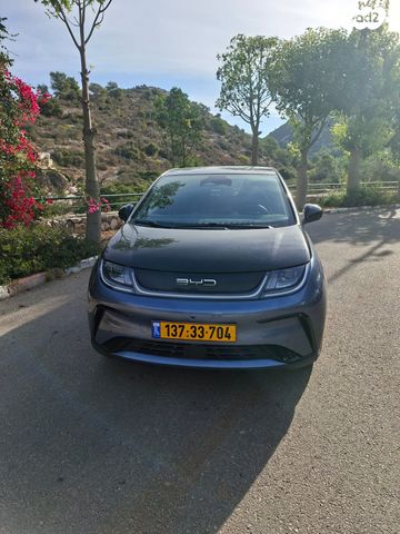 מודעת רכב בי.ווי.די דולפין