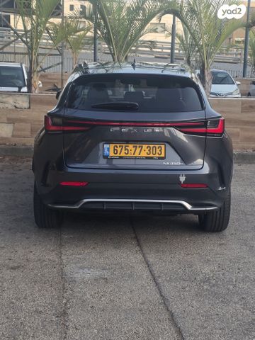מודעת רכב לקסוס NX