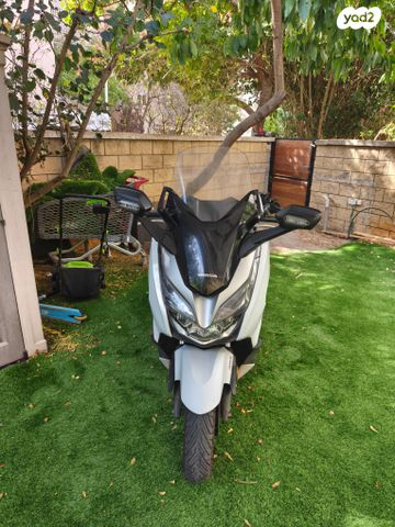 הונדה פורזה 250