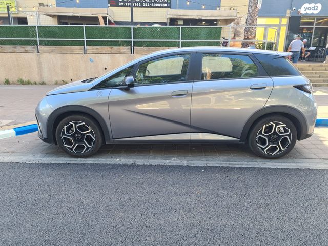 מודעת רכב בי.ווי.די דולפין