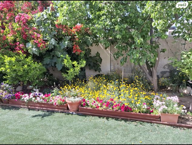 בית פרטי/ קוטג', הגפן 8, שבעת המינים, דימונה