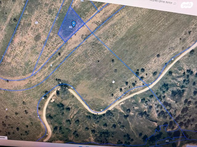 יהדות מרוקו 1