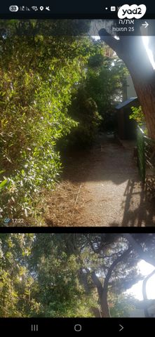 דירת גן, התשבי 74, רמת התשבי, חיפה