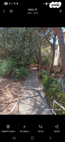 דירת גן, התשבי 74, רמת התשבי, חיפה