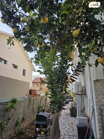 בית פרטי/ קוטג', הדובדבן 8, אפרידר, אשקלון