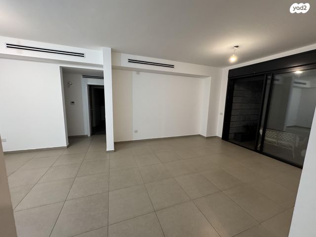 רועי קליין 2