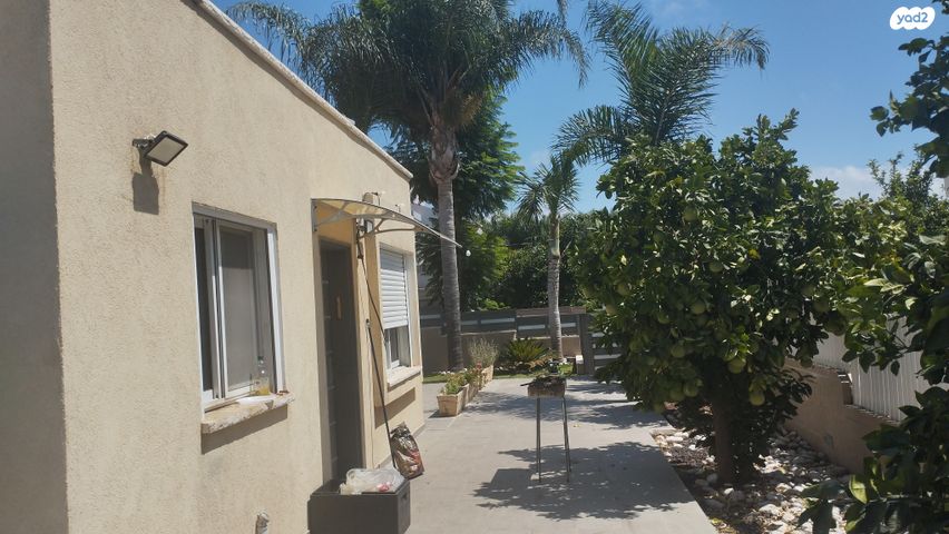 פרופסור יגאל ידין 43