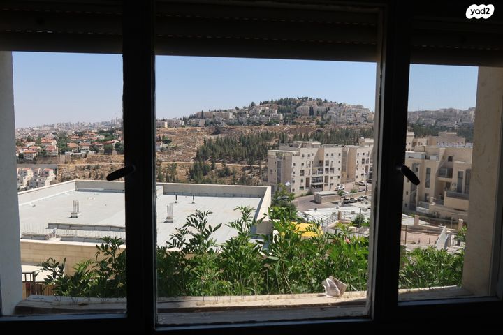 מעגלות הרב פרדס 51