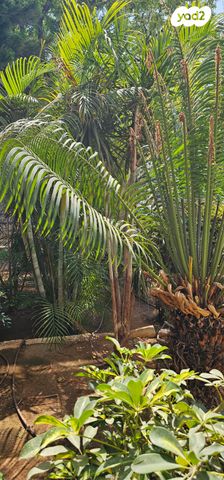 דירה, האחים בן עזר 4, רמת ורבר, פתח תקווה