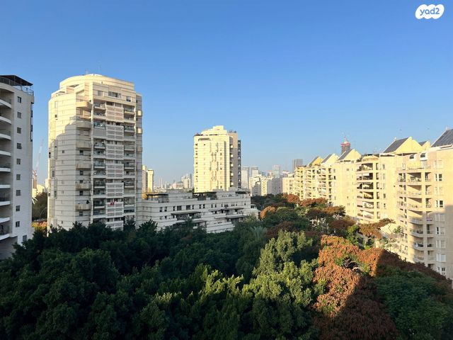 שמעון בן צבי 50