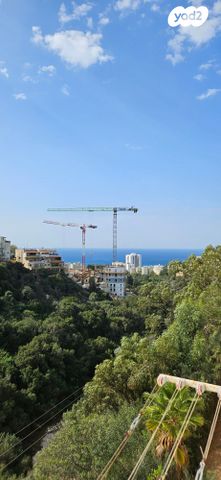 דוד בר רב האי 62