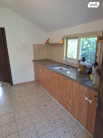 דוד פלורנטין 56