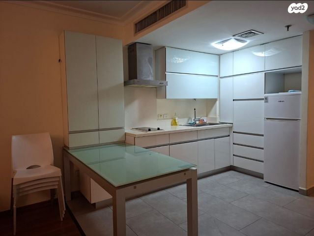 דוד אלעזר 10