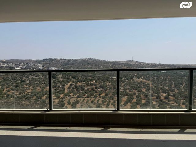 דירה, כלנית 1, צופים, צופים