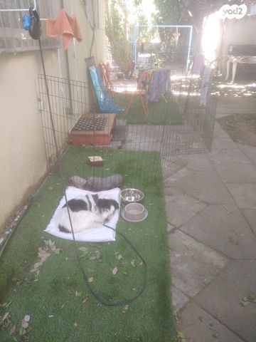 אבן גבירול 181