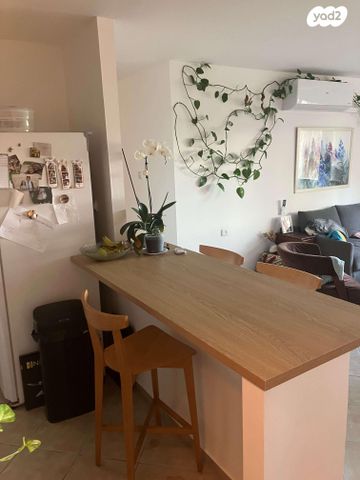 דירה, חס"ם 11, דניה, רחובות