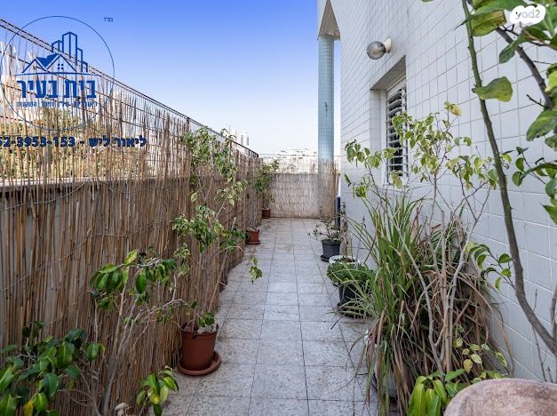 דירה, הגשמה, רובע הקריה, הסיטי, אשדוד