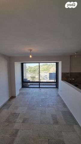 הרב הרצוג 81