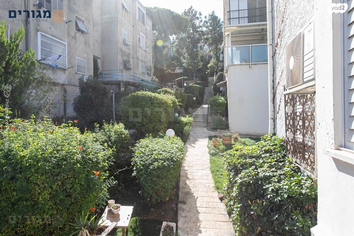 דירה, אלברט איינשטיין, אחוזה, חיפה