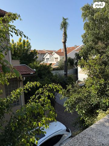 לסטר/רבוצקי