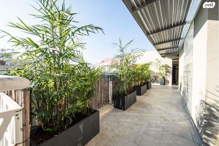 גג/ פנטהאוז, דיצה, צפון יפו, המושבה האמריקאית-גרמנית, תל אביב יפו