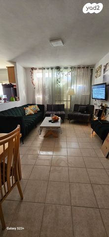 אלכסנדר זייד 43