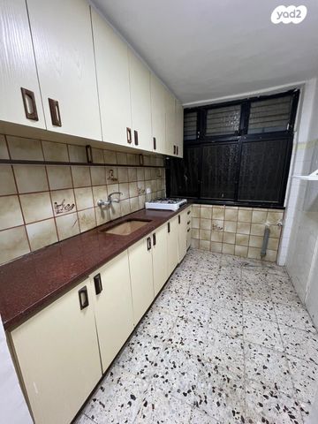 יצחק בן צבי 