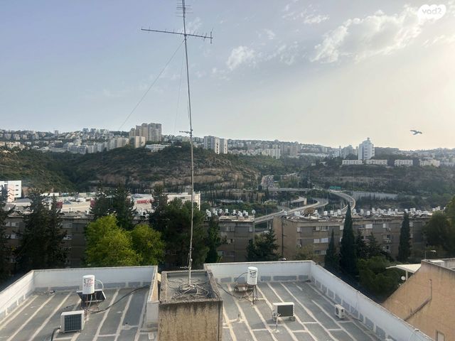 יעקב קליבנוב 