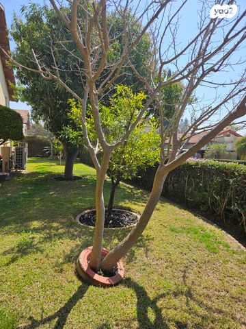 בית פרטי/ קוטג', רמת אפעל, רמת גן