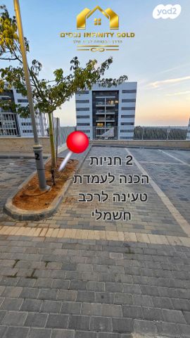 דירה, כלנית, הפרחים, חריש