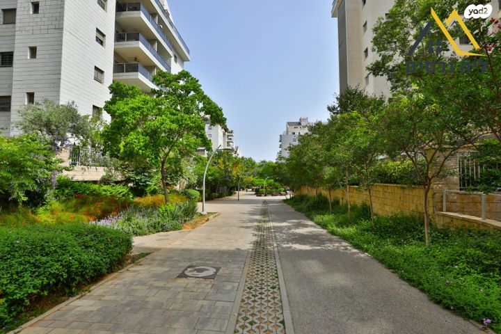 דירה, כפר סבא הירוקה, כפר סבא