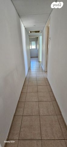 אלכסנדר זייד 43