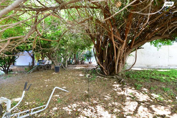 מגרשים, יצחק שדה, קרית אונו