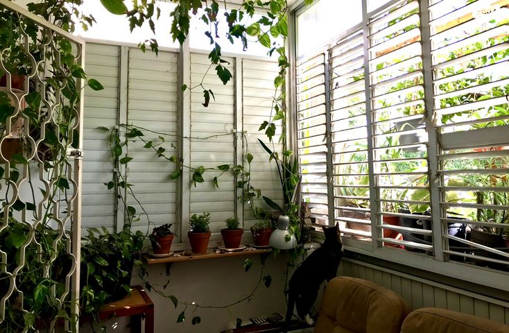 דירת גן, הקשת, קרית שלום, תל אביב יפו