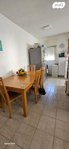 אלכסנדר זייד 43