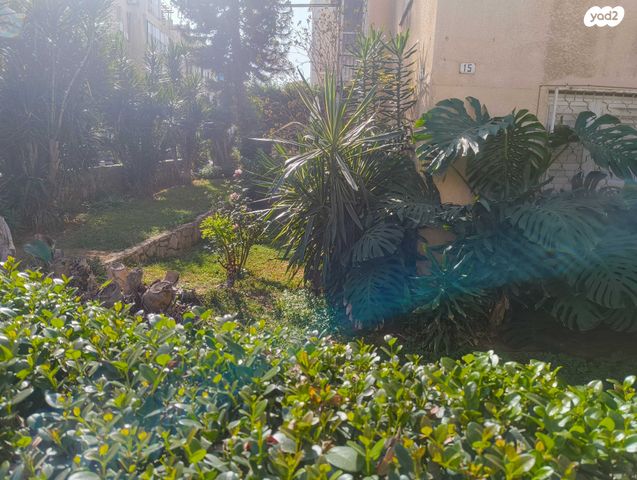 דירה, דבורה הנביאה, קרית נדבורנא, בני ברק