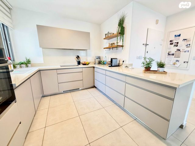 דירה, הרב שלמה מכלוף אורגד, כוכב הצפון, נתניה