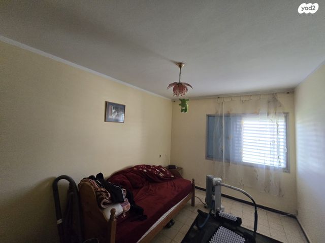 דירה, נורית, נעורים, ערד