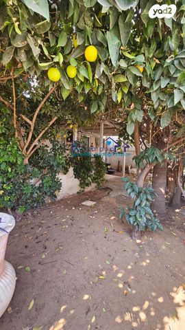 בית פרטי/ קוטג', ברק בן אבינועם 3, נתניה