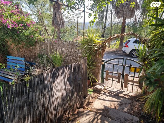 דו משפחתי, כרמים, שריגים