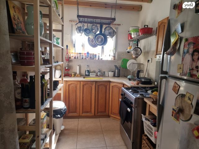 דו משפחתי, כרמים, שריגים