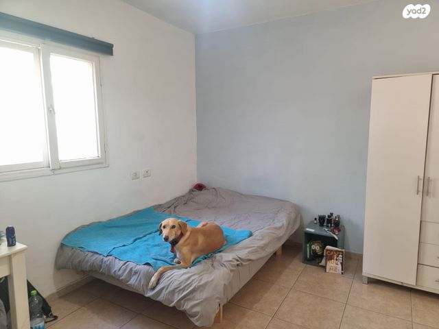 דו משפחתי, כרמים, שריגים