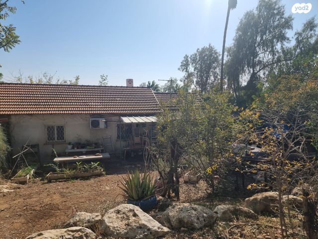 דו משפחתי, כרמים, שריגים