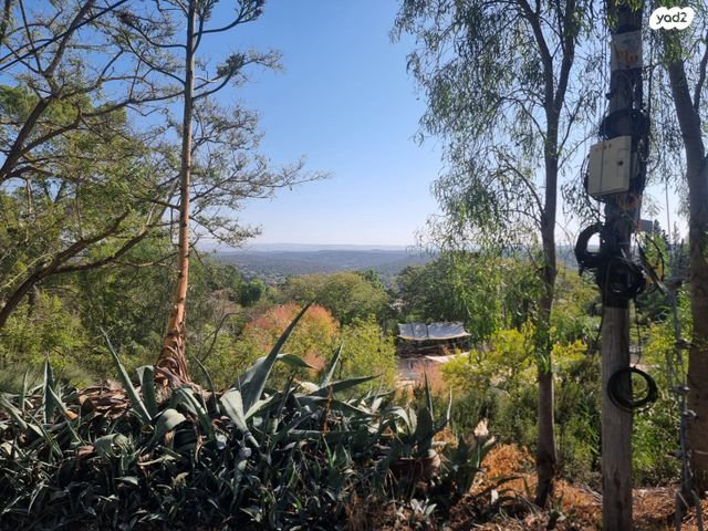 דו משפחתי, כרמים, שריגים