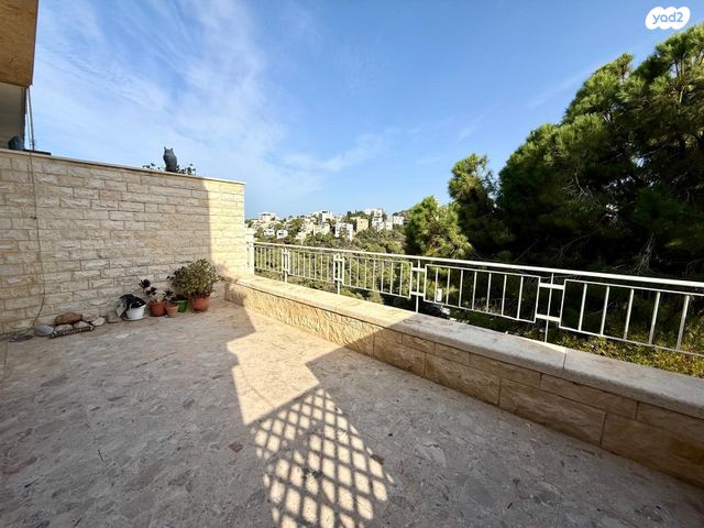 דופלקס, אלכסנדר ינאי, כרמליה, חיפה