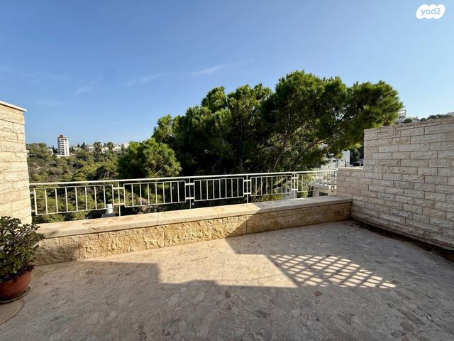 דופלקס, אלכסנדר ינאי, כרמליה, חיפה