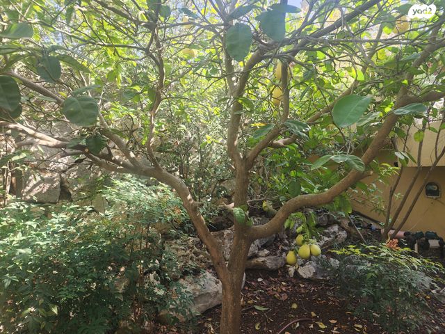 בית פרטי/ קוטג', כפר ורדים