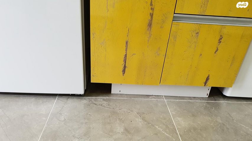 דירה, דוד אלרואי, רמב"ם, ראשון לציון