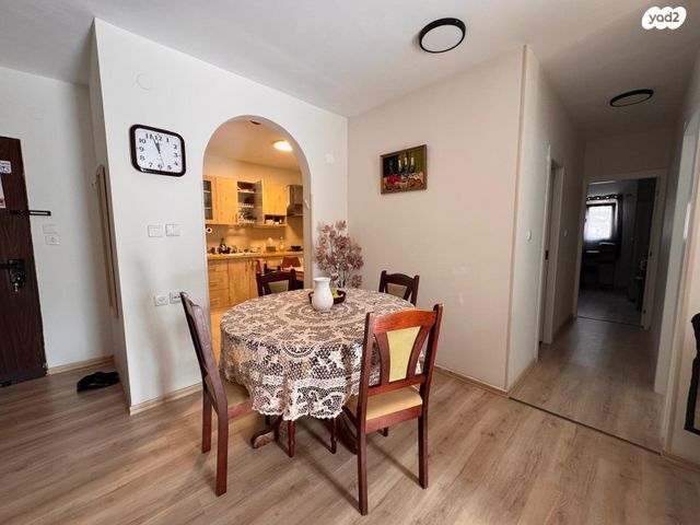 דירת גן, אריאל