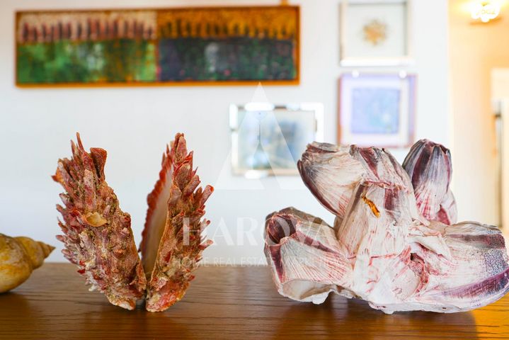 דירה, דוד רזיאל, צפון יפו, המושבה האמריקאית-גרמנית, תל אביב יפו